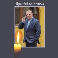 Redmici